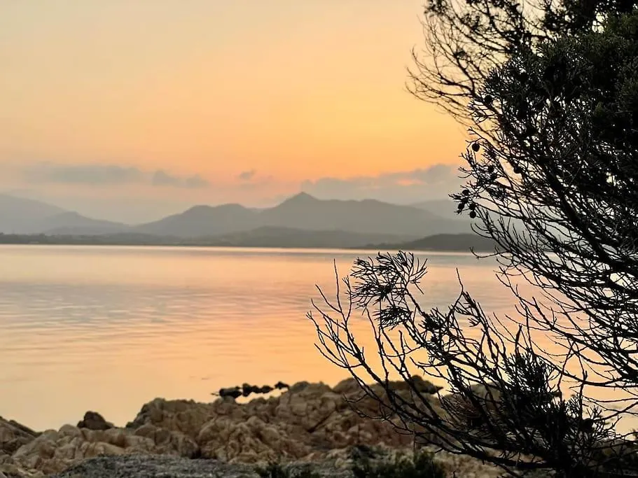 Punta Est Bilocale Giardino Vista Mare Apartment Capo Coda Cavallo Italy