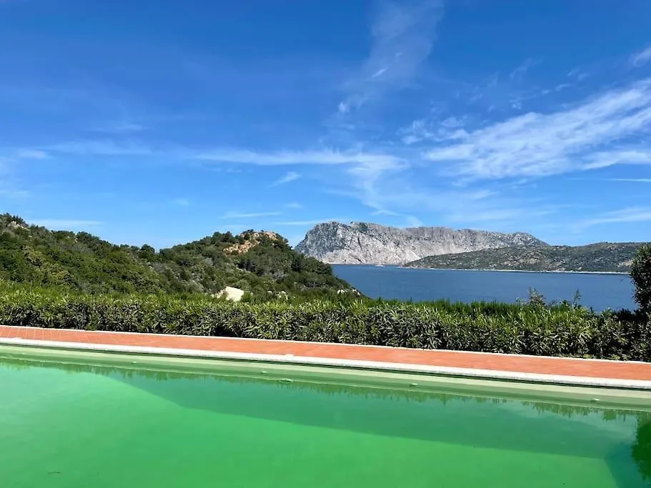 Punta Est Bilocale Giardino Vista Mare Apartment Capo Coda Cavallo